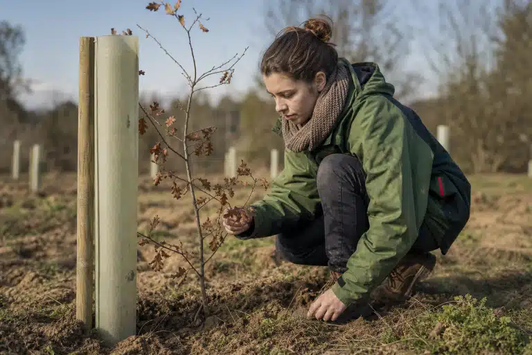 Femme plantant un jeune arbre protégé
